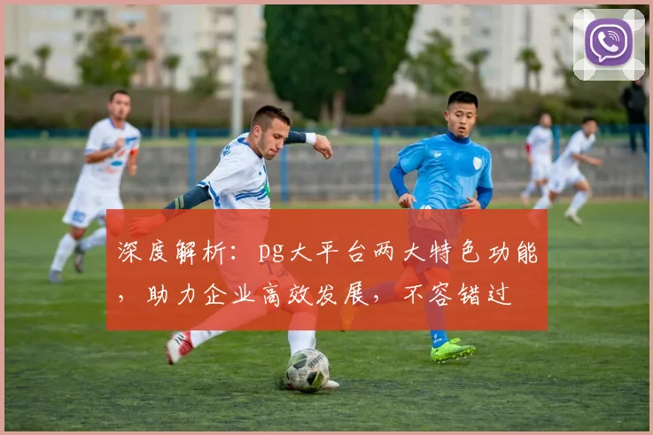 深度解析：pg大平台两大特色功能，助力企业高效发展，不容错过