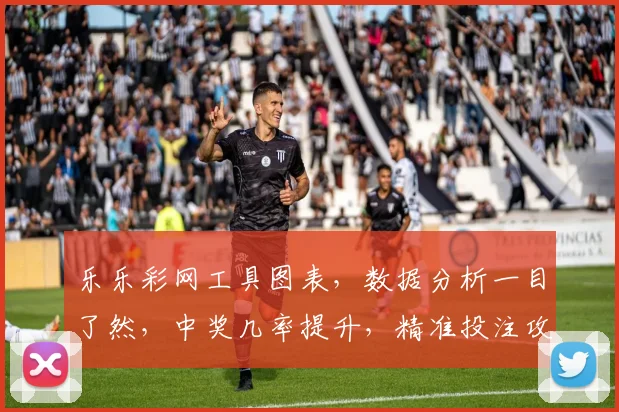 乐乐彩网工具图表，数据分析一目了然，中奖几率提升，精准投注攻略三步走，轻松盈利