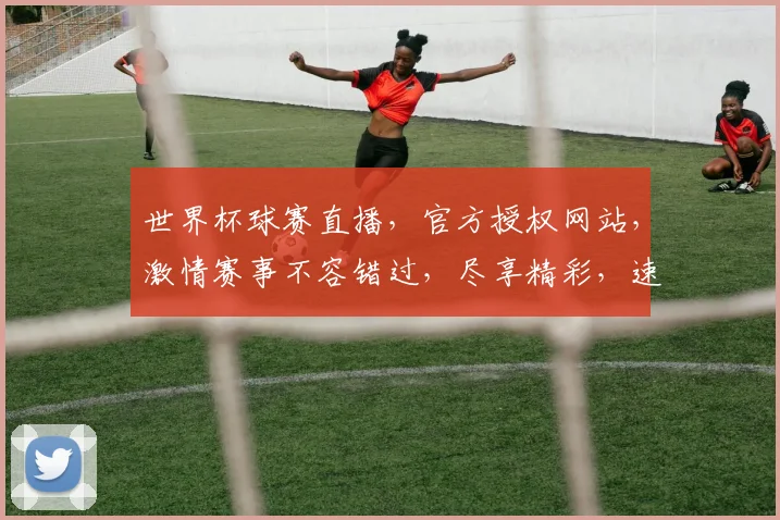 世界杯球赛直播，官方授权网站，激情赛事不容错过，尽享精彩，速来一探究竟