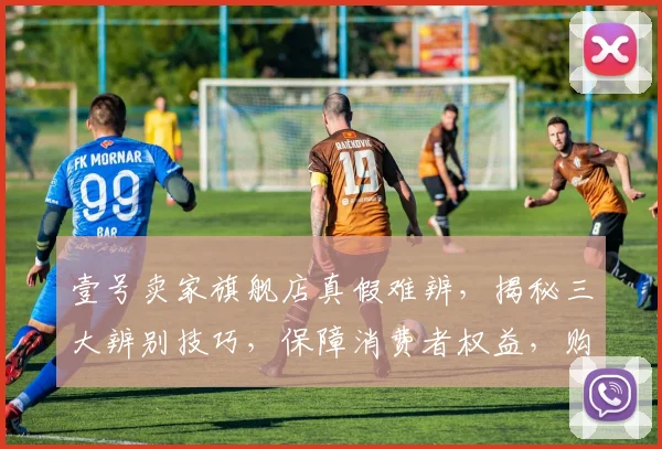 壹号卖家旗舰店真假难辨，揭秘三大辨别技巧，保障消费者权益，购物无忧